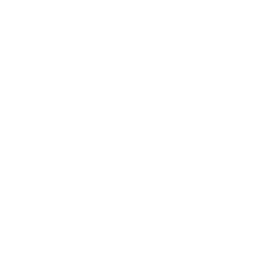 logo VMware partner